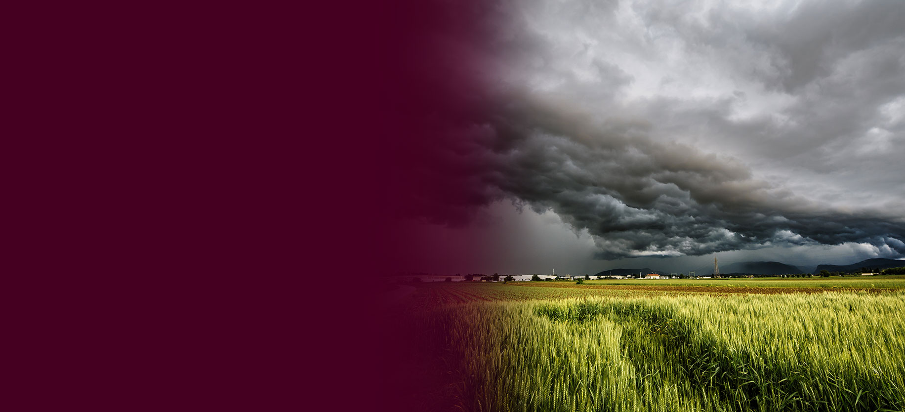 A large field of grass with a storm brewing overhead