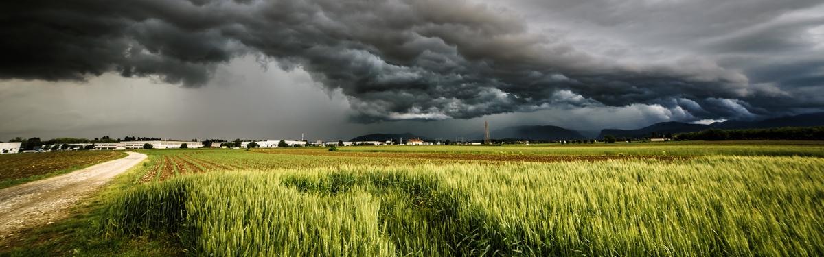 A large field of grass with a storm brewing overhead