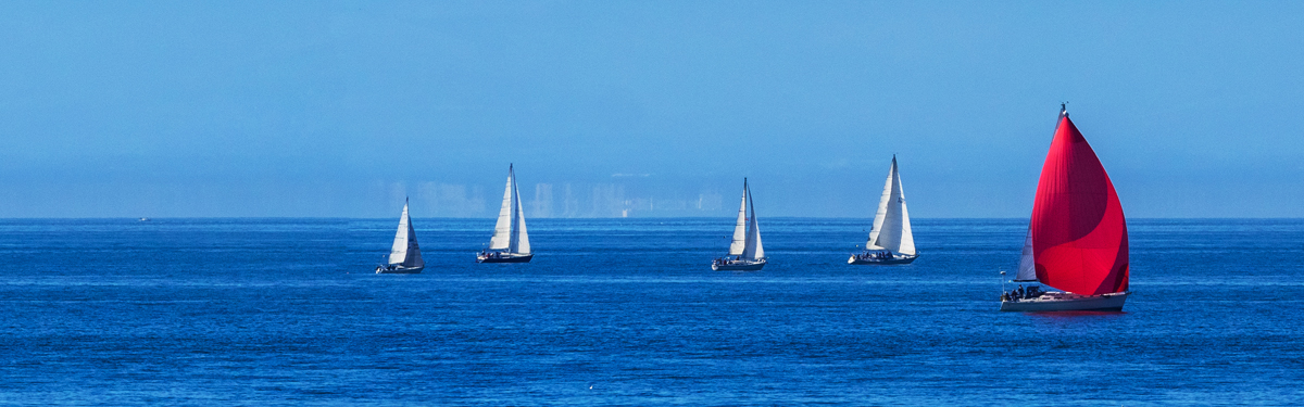 Three sailboats with white sails, one sailboat with a red sail