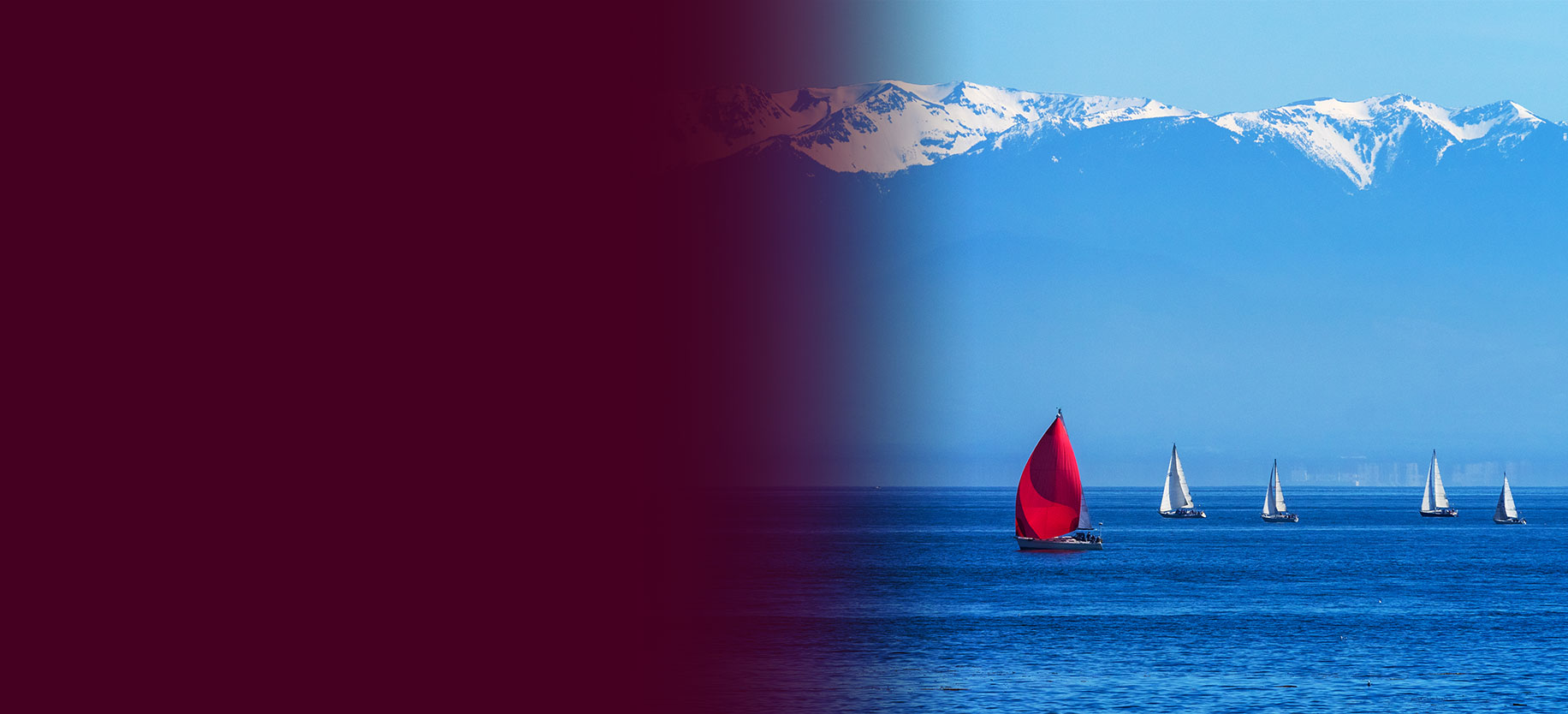 Three sailboats with white sails, one sailboat with a red sail