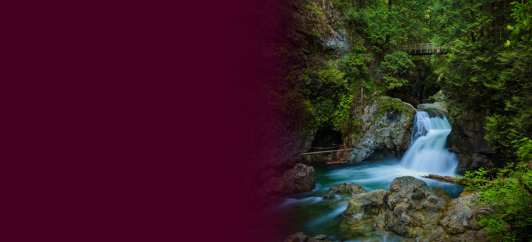 A waterfall in a forest