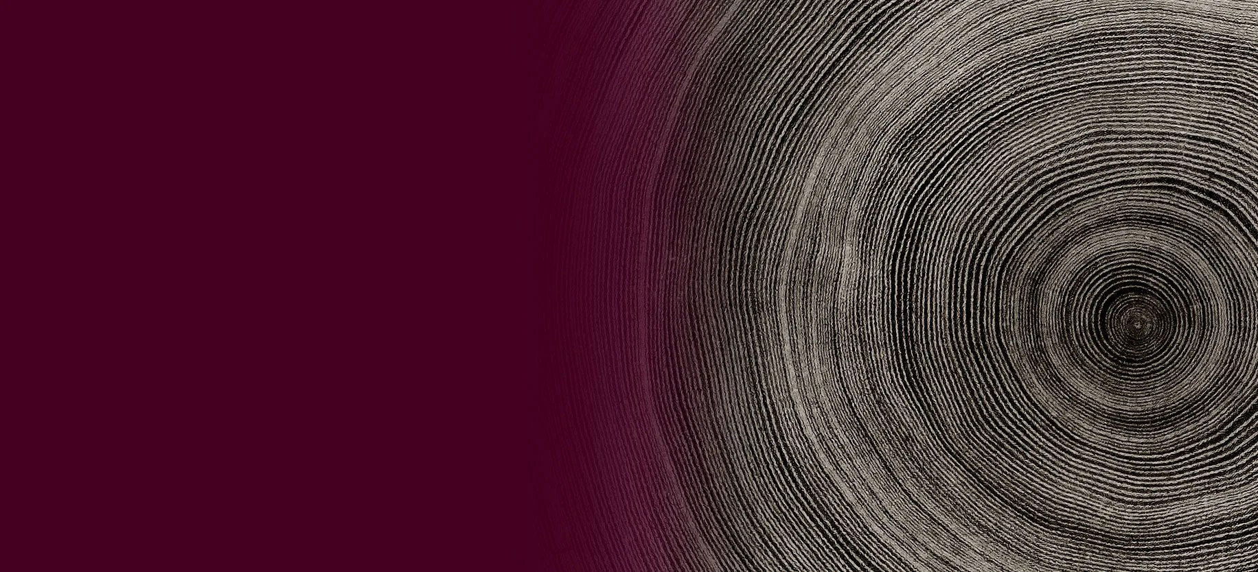 A cross-section showing the rings of a tree trunk