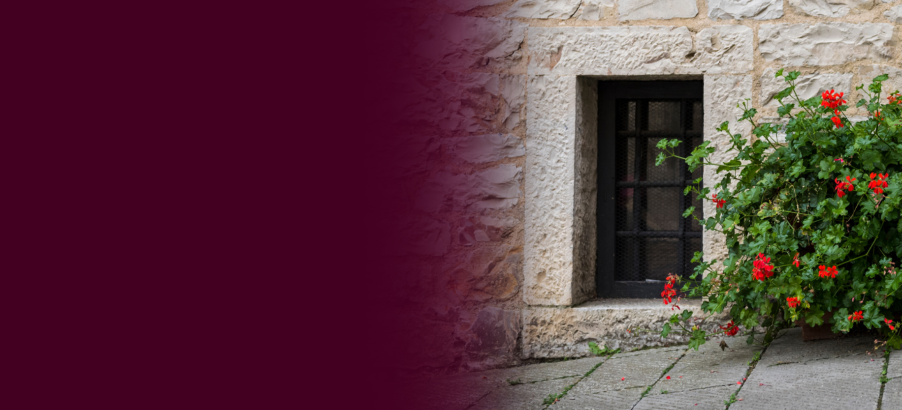 Basement windows at street level