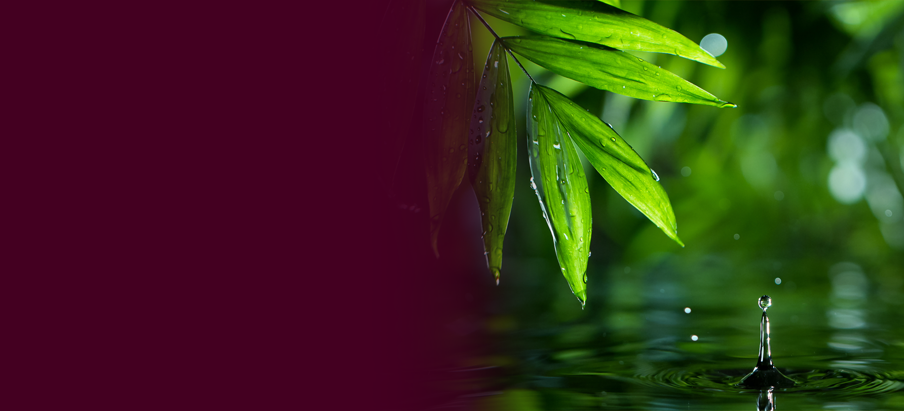 Macro shot of a water droplet hitting a pool of water.