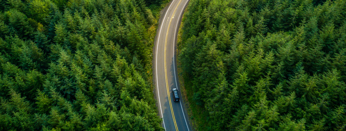 A car driving on a road surrounded by trees
