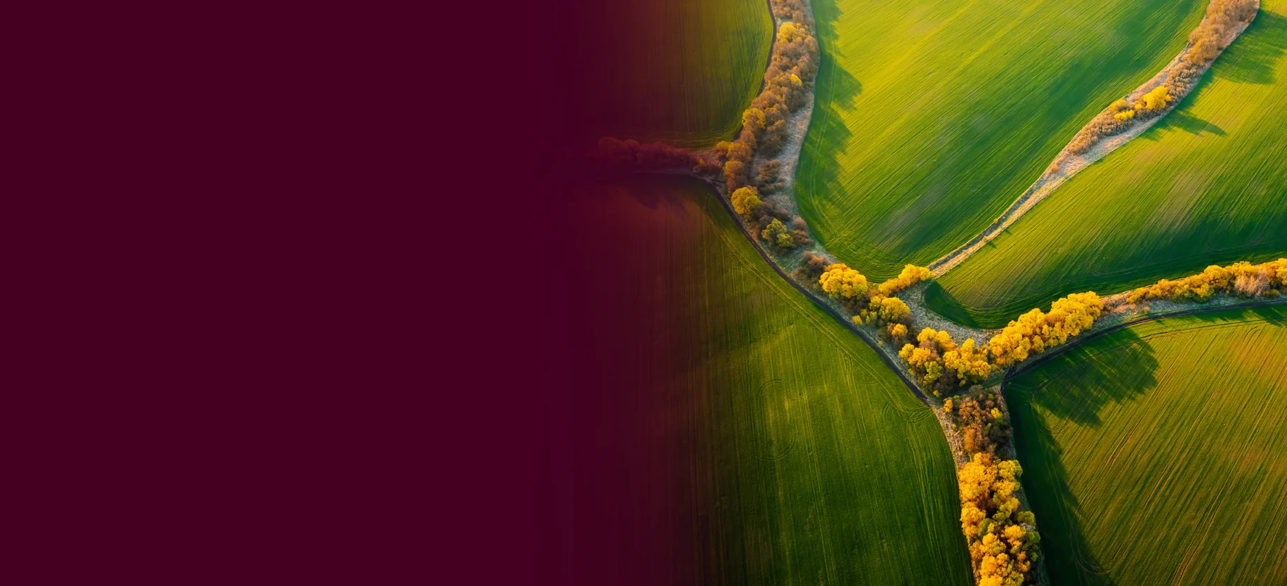 Ariel view of farmland