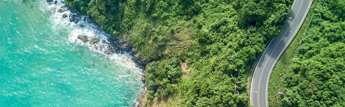 Winding road, blue water and lush forest