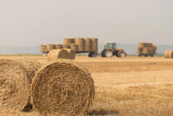 Finding A Needle In A Haystack