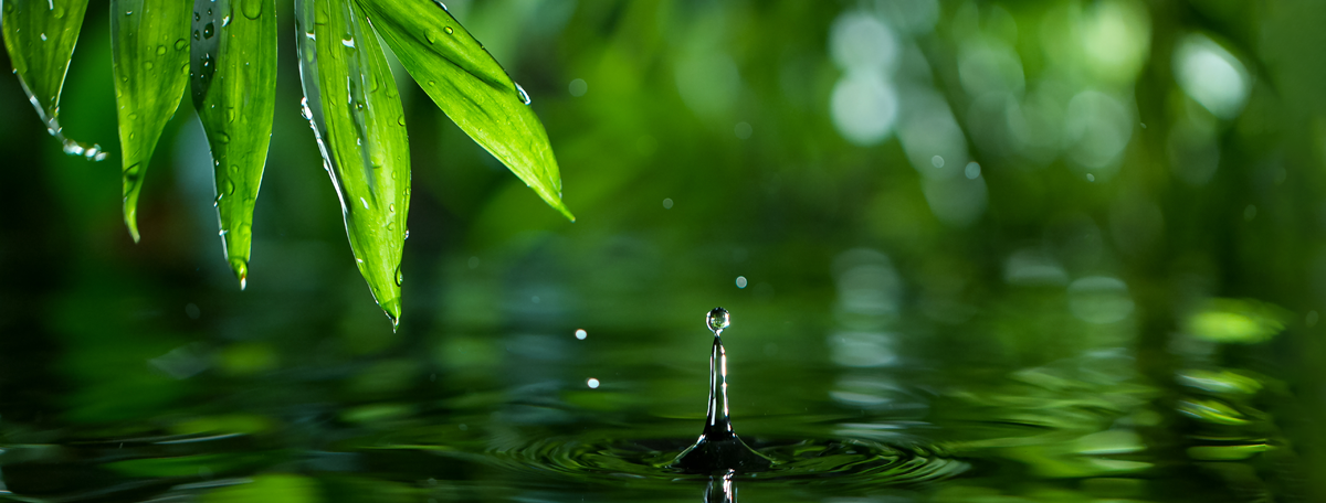 Macro shot of a water droplet hitting a pool of water.