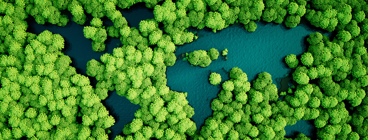 Trees and Continent Shaped Lakes