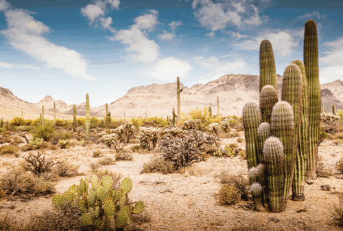 No Country for Old Rules