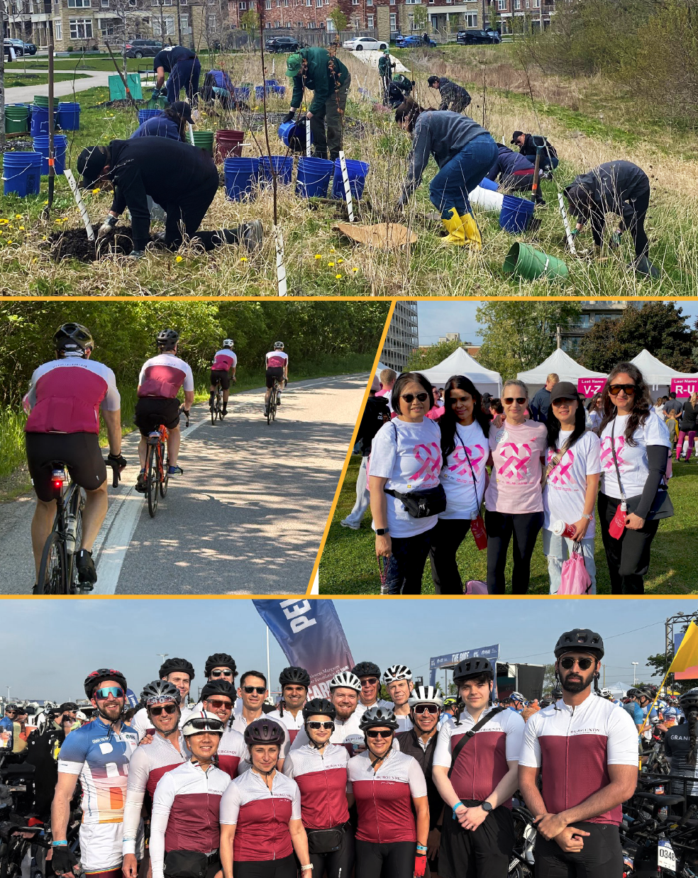 Burgundy in the community
