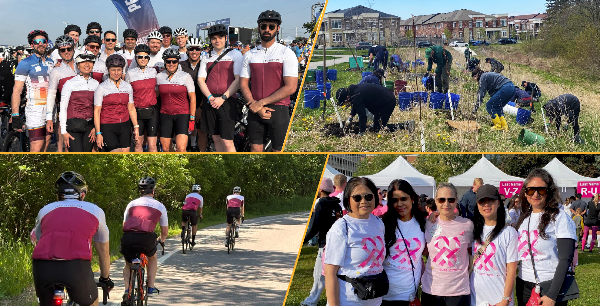 Burgundy in the community