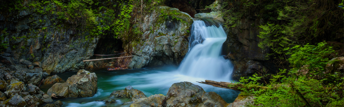 A waterfall in a forest