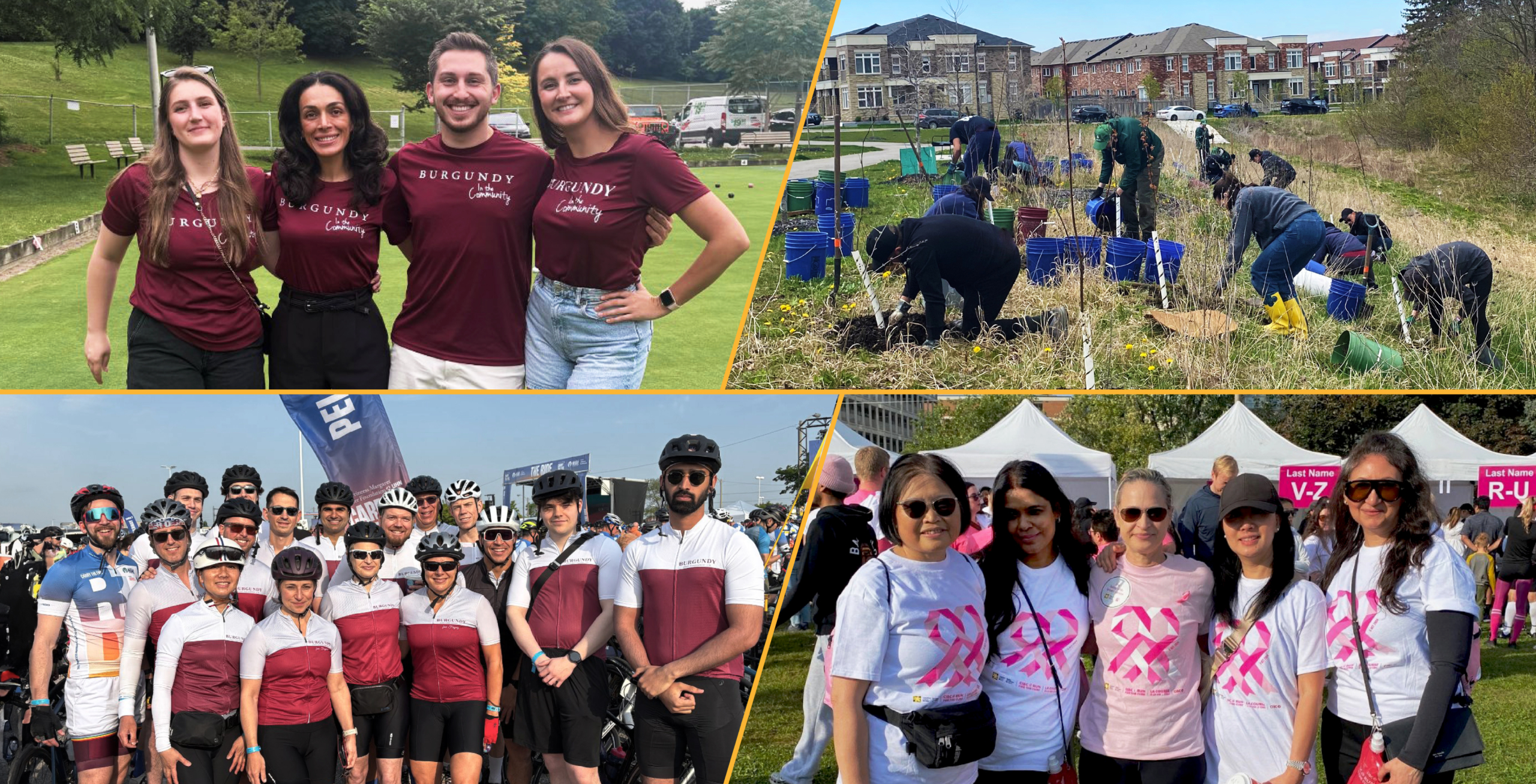 Burgundy in the community