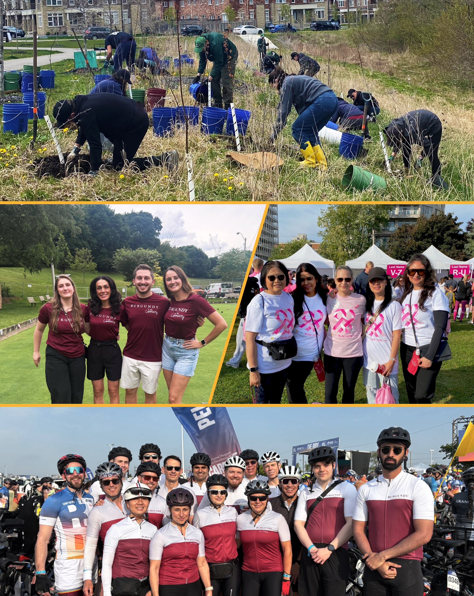 Burgundy in the Community